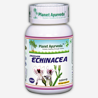 Planet Ayurveda Indian Echinacea capsules. Helpt het immuunsysteem te activeren. Stimuleert de productie van antilichamen en is effectief bij verkoudheid, griep, bijholteontsteking en infecties van de bovenste luchtwegen. Beschermt tevens de lever en ondersteunt de leverfunctie.