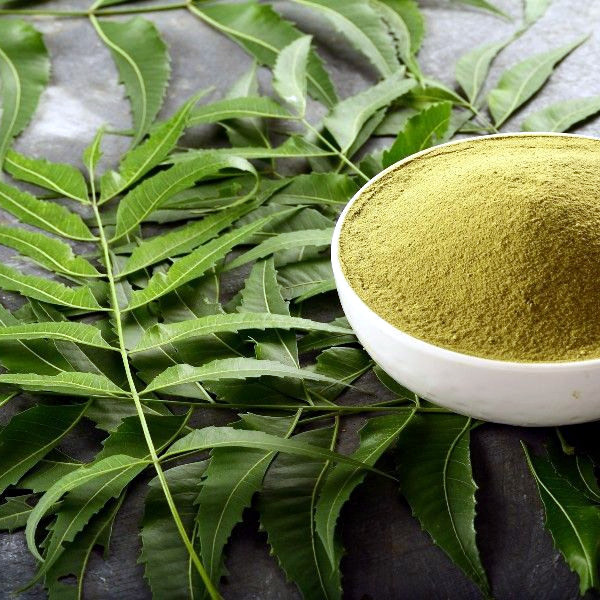 Neem poeder (Azadirachta Indica)