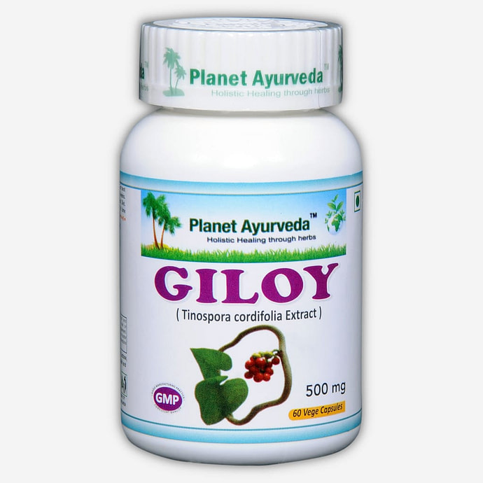 Planet Ayurveda Giloy (Tinospora cordifolia extract), 60 capsules à 500 mg. Geeft het immuunsysteem een boost en ondersteunt de functie van de lever, de nieren en het ademhalingssysteem.