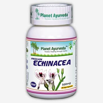 Planet Ayurveda Indian Echinacea capsules. Helpt het immuunsysteem te activeren. Stimuleert de productie van antilichamen en is effectief bij verkoudheid, griep, bijholteontsteking en infecties van de bovenste luchtwegen. Beschermt tevens de lever en ondersteunt de leverfunctie.