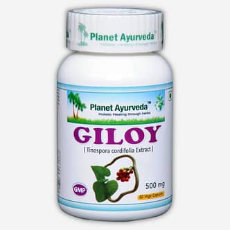 Planet Ayurveda Giloy (Tinospora cordifolia extract), 60 capsules à 500 mg. Geeft het immuunsysteem een boost en ondersteunt de functie van de lever, de nieren en het ademhalingssysteem.