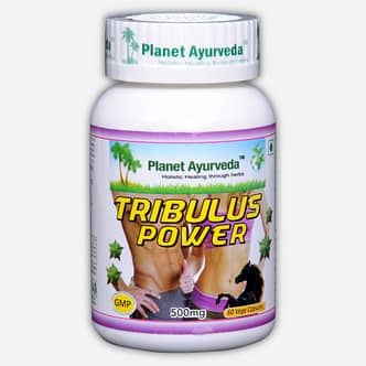Planet Ayurveda Tribulus Power capsules. Tribulus Terrestris helpt een gezonde lever en nieren te bevorderen. Bevordert tevens het natuurlijke mannelijke uithoudingsvermogen en is gunstig voor de gezondheid en het functioneren van de mannelijke geslachtsorganen en het libido.
